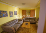 02-1750076462167