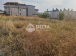 03-1750416994135