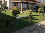 03-1753448731502
