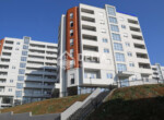 04-1783326417297